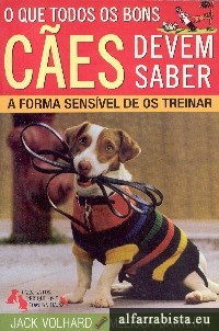 O que todos os bons ces devem saber